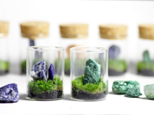 新石追加「苔のミニミニテラリウム*鉱物と苔」